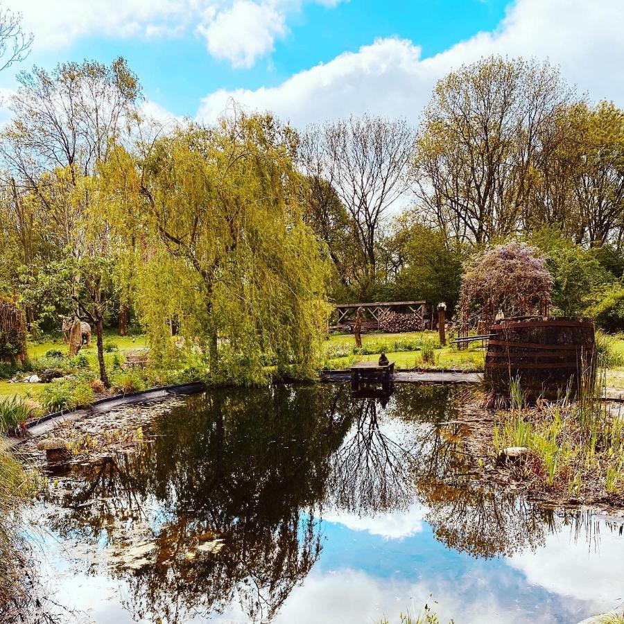 Reijgershof Bed & Breakfast Amsterdam Ngoại thất bức ảnh