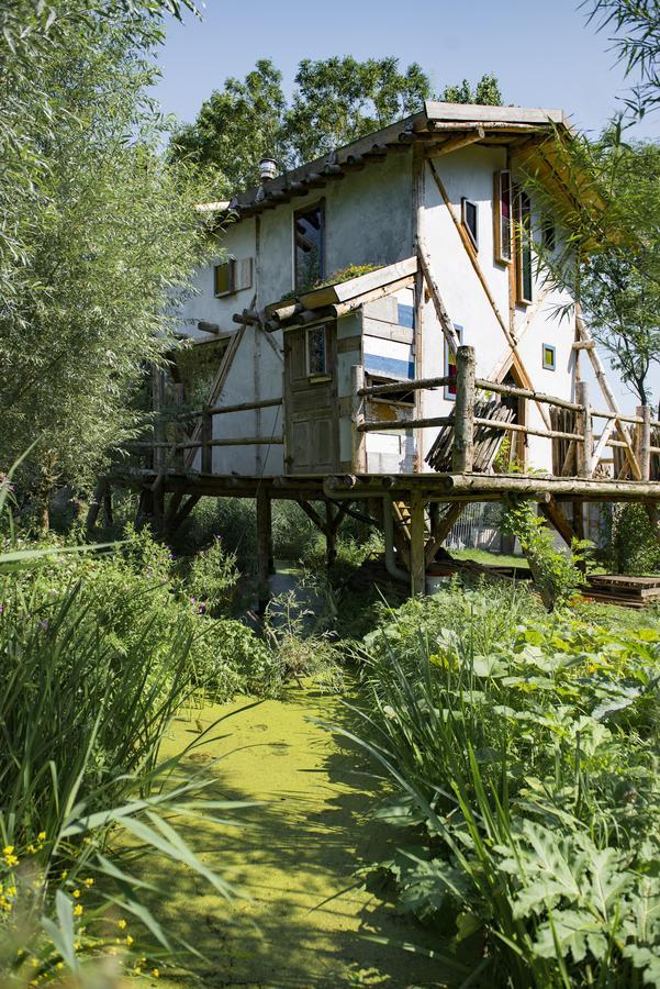 Reijgershof Bed & Breakfast Amsterdam Ngoại thất bức ảnh